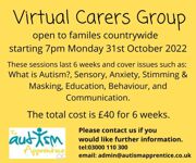 Virtual Carers Group