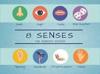 Nas sensory differences a guide for all audiences