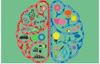 Multisensory