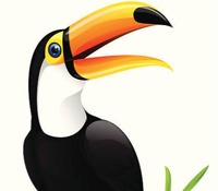 Toucan Class Photo